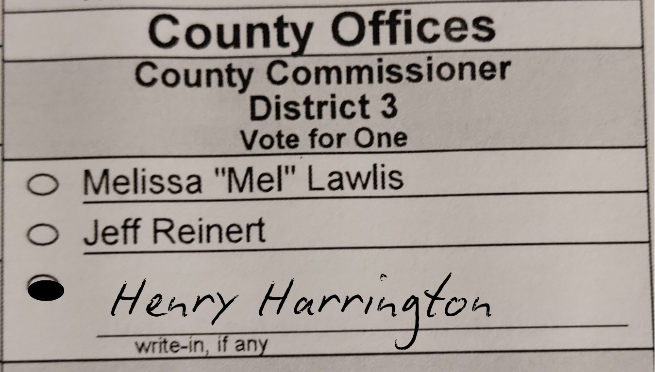 Sample ballot showing the write-in oval filled in and my name written on the write-in line